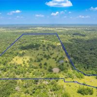 Beautiful partially wooded 50 acres with Ag-Exemption and 2 ponds