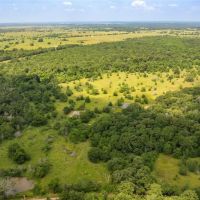 Beautiful partially wooded 50 acres with Ag-Exemption and 2 ponds images 2