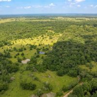 Beautiful partially wooded 50 acres with Ag-Exemption and 2 ponds images 3