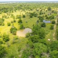 Beautiful partially wooded 50 acres with Ag-Exemption and 2 ponds images 4