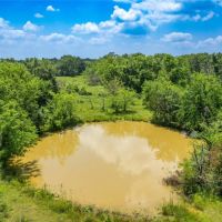 Beautiful partially wooded 50 acres with Ag-Exemption and 2 ponds images 5