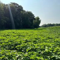 Wabash River 132 images 3