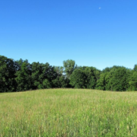 Tuscola State WMA - 9,259 acres Turkey & Duck hunting land in Tuscola, MI images 2