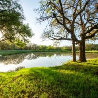 TS Coastal Ranch images 2