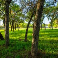 TS Coastal Ranch images 4