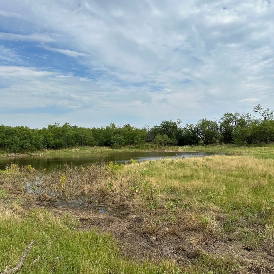 Available 21 Acres Tract 18 Shackelford County featured image