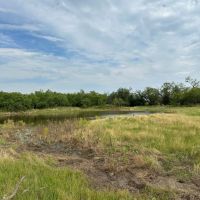 Available 21 Acres Tract 18 Shackelford County