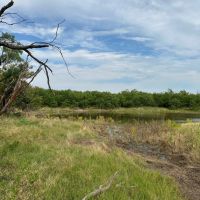 Available 21 Acres Tract 18 Shackelford County images 4