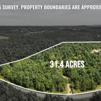 4-Bedroom Home Tucked Away in the Pines images 4