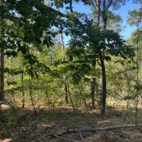 10 - Acres For Sale in Van Buren MO
