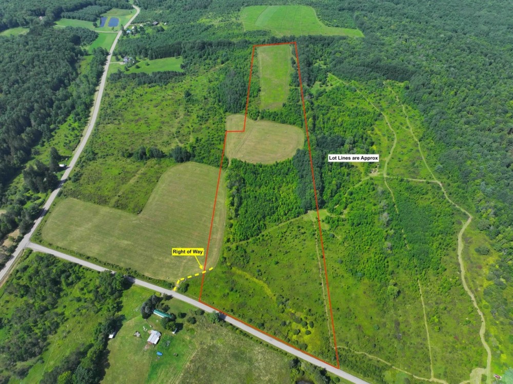 23.3 acres Hunting Land and Building Lot with Amazing Views in Friendship NY Maple Grove Rd Lot 9 featured image