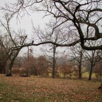 300-Acre Combo Farm in Queen City MO for Sale images 5