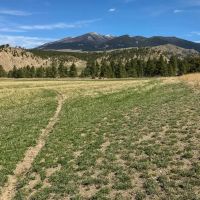 Grandview Acreage images 4