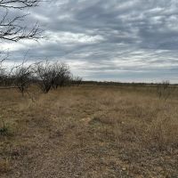 Price Improvement 10.5 Acres Tract 11 Shackelford County images 5