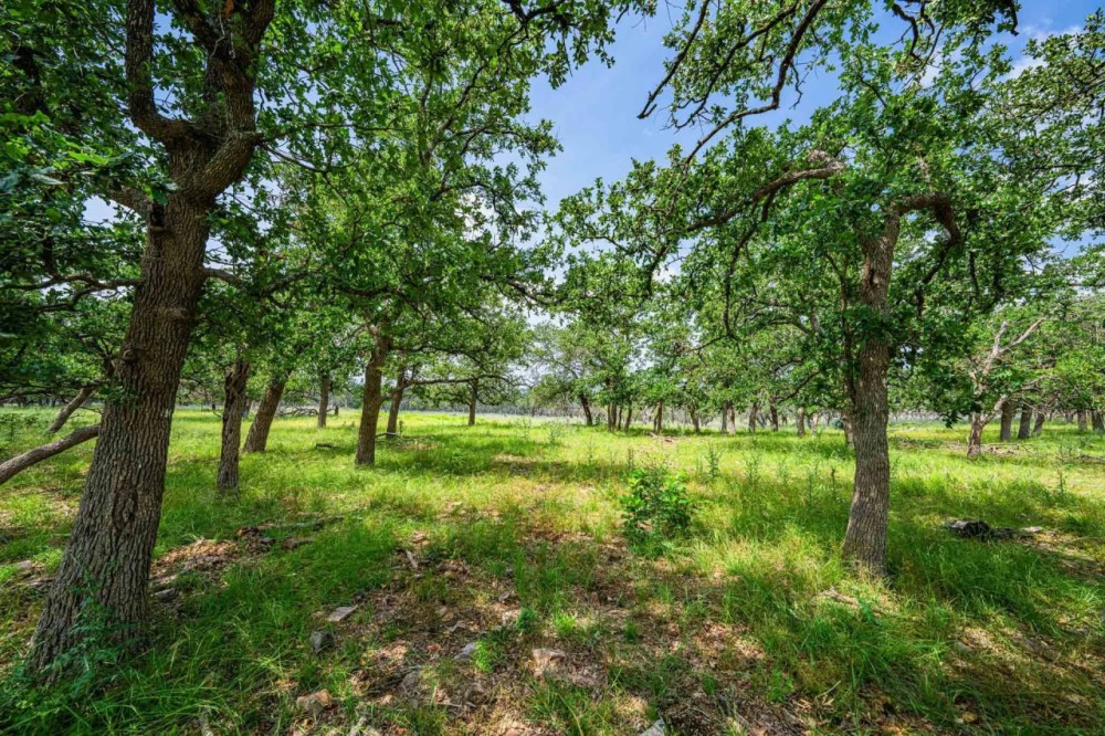 Gillespie County 4C Ranch W of Fredericksburg featured image