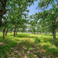 Gillespie County 4C Ranch W of Fredericksburg