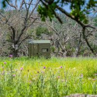 Gillespie County 4C Ranch W of Fredericksburg images 4