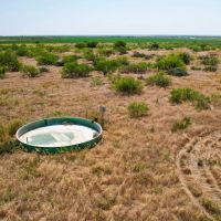 142 Acres Farm Hardeman County TX images 2