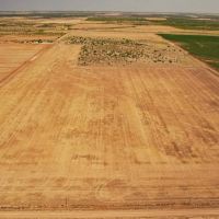 142 Acres Farm Hardeman County TX images 3