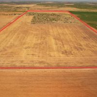 142 Acres Farm Hardeman County TX images 5