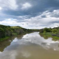 Land on the Colorado River in Bend TX - 40 acres images 4