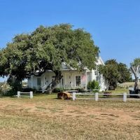 Mariposa Farm Bexar County Texas images 5