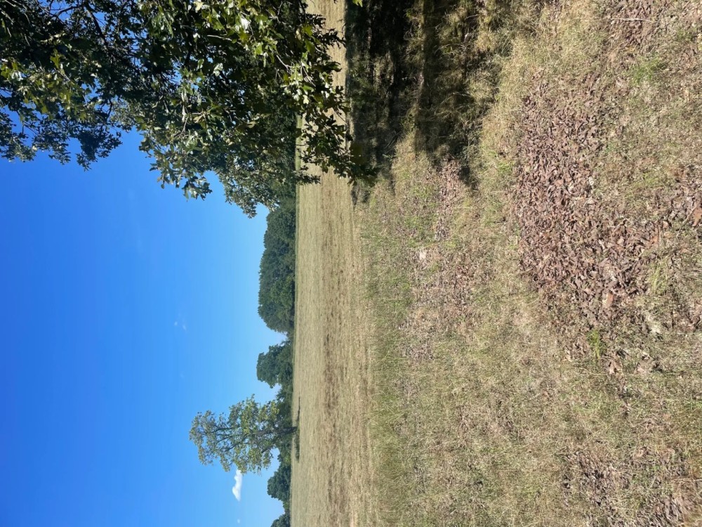 30 Acres of Prime Real Estate in Atoka OK featured image