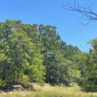 30 Acres of Prime Real Estate in Atoka OK images 4