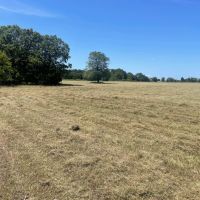 30 Acres of Prime Real Estate in Atoka OK images 5
