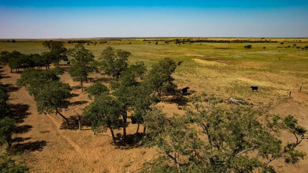 100 Acres Hardeman County featured image