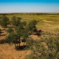 100 Acres Hardeman County