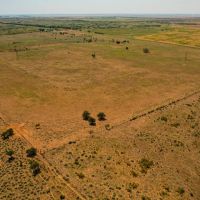 100 Acres Hardeman County images 3