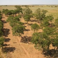 100 Acres Hardeman County images 5