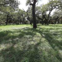 1801 FM 1383 Schulenburg TX 78956 images 3