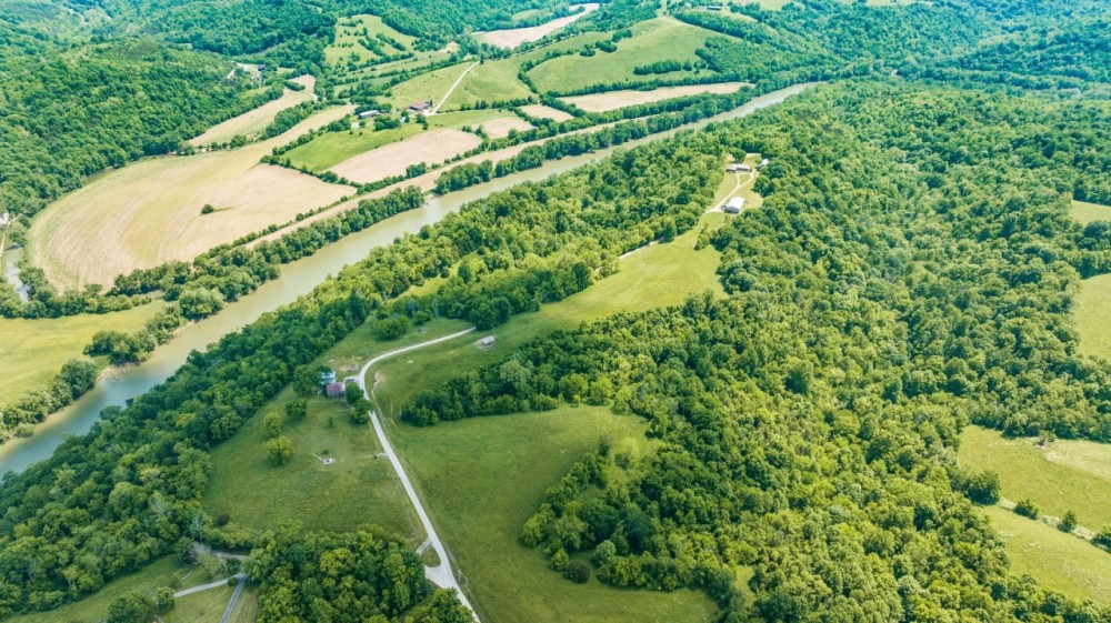 The First Vineyard featured image