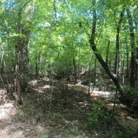 30.42 - Acres for Sale Old Shongaloo LA images 4