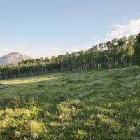 White Sky Ranch images 4