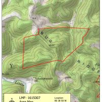 289 Acres in Braxton Co, WV