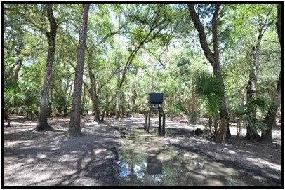 Hunting Preserve 370 - acres on Charlie Creek featured image