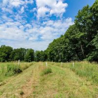 Sodum Hutchings Rd - 208 acres - Trumbull County images 5