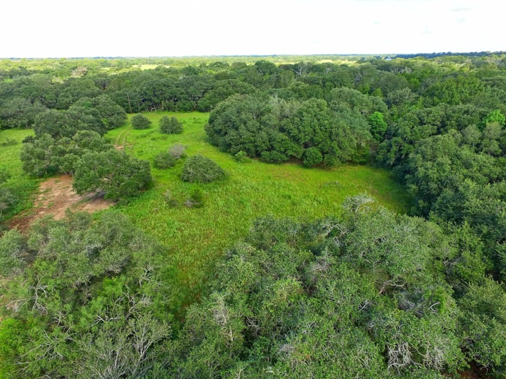 20 acres CR 230 CR 212 Weimar TX Colorado County featured image