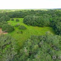 20 acres CR 230 CR 212 Weimar TX Colorado County