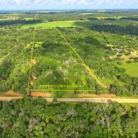 20 acres CR 230 CR 212 Weimar TX Colorado County images 2