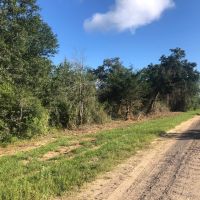 20 acres CR 230 CR 212 Weimar TX Colorado County images 3