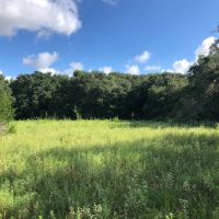 20 acres CR 230 CR 212 Weimar TX Colorado County images 5
