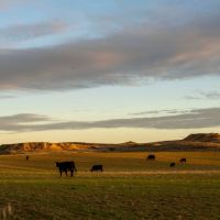 Rock Creek Farm at Fort Peck images 3