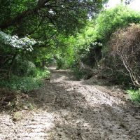 Bozard Hill Hideaway images 4