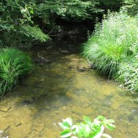 Bozard Hill Hideaway images 5