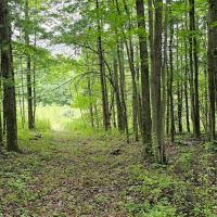 77 acres Hunting Land with Fields and Woods in Candor NY Reservoir Hill Rd