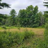 77 acres Hunting Land with Fields and Woods in Candor NY Reservoir Hill Rd images 2